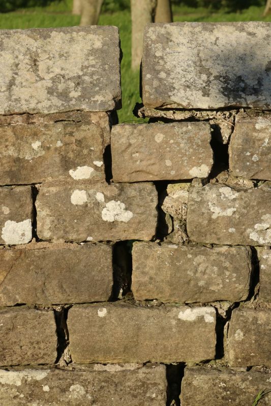 Stone Wall Repair in Steilacoom, WA